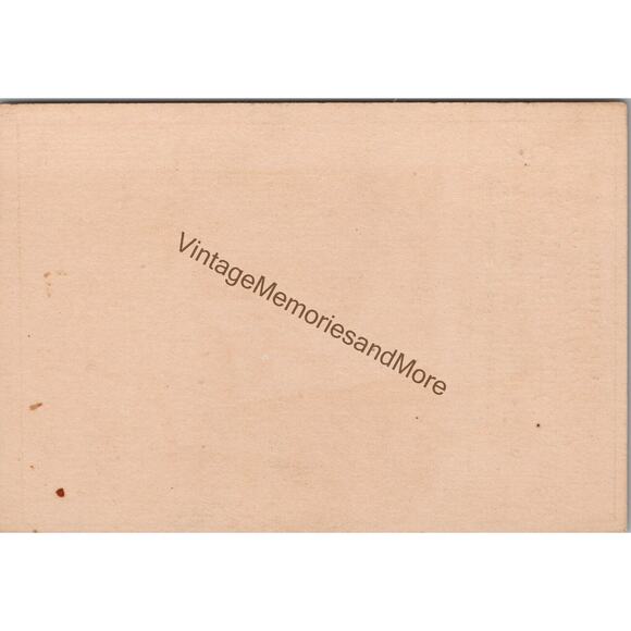 Vintage Niagara Baking Co's Crackers & Cakes Advertising Trade Card PB23 - Picture 2 of 2